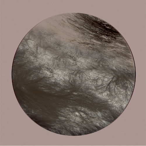 Ness - Flesh Of The Gods Remixes [Previews]