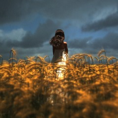 Steve Cherry x BEARR. - Sweet Lily