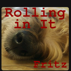 Rollin' in It