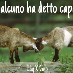 Stream CAZZO, CIOLLA (feat. Zetocs) by Gno & Edy | Listen online ...