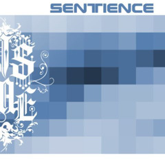 DVS NME - Sentience