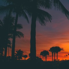 Sunset drive