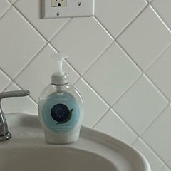 chlorine (martyr & phoenix)