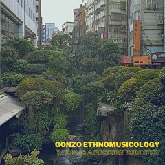 Gonzo Ethnomusicology (RIAFC073)