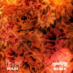 Ookay - Thief (BassTi Remix)