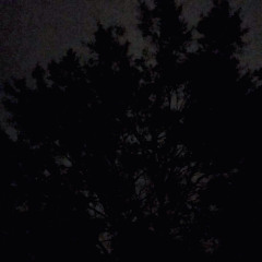 put it down [prod. DaGrave]