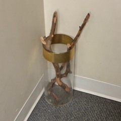 uncertain prod ssongbirds