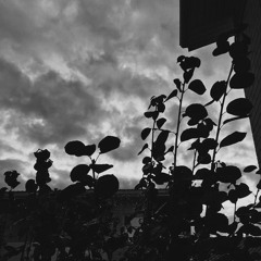 summer rain (slowed)