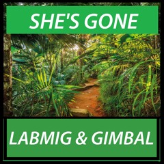 Labmig & Gimbal - She's Gone