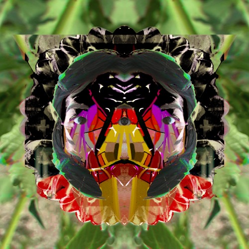 The children of the robots