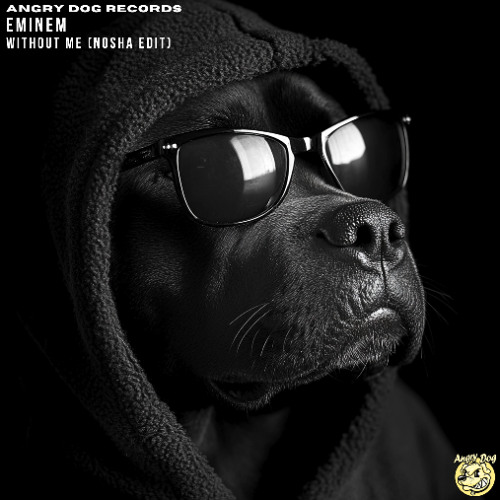 Eminem - Without Me (Nosha Edit) Free Download