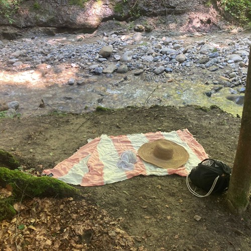 am bach 24