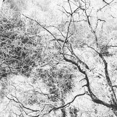 truth lies somewhere