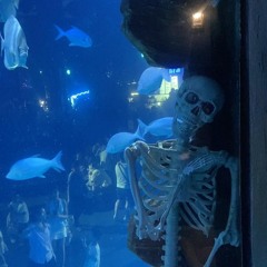 Hẹn Hò Nhưng Không Yêu - NVT x Đông Remix