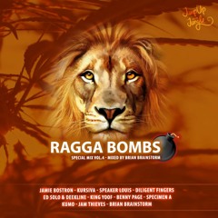 RAGGA BOMBS - Special Mix Vol.4 (Mixed By Brian Brainstorm)