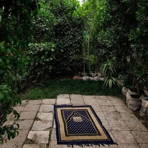 جَنَّاتُ عَدْنٍ يَدْخُلُونَهَا | أحمد النفيس
