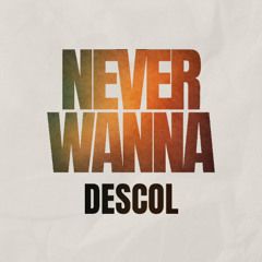 Never Wanna