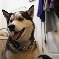 cyber leia plays english horn on synth