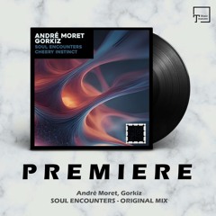 PREMIERE: André Moret, Gorkiz - Soul Encounters (Original Mix) [CONCATENATE]