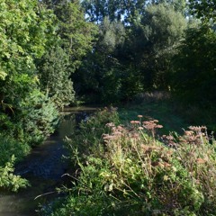De dwaallichtjes en het bloedend hart - Brug over de Leibeek - Kortenaken