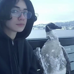 дескриптор х2