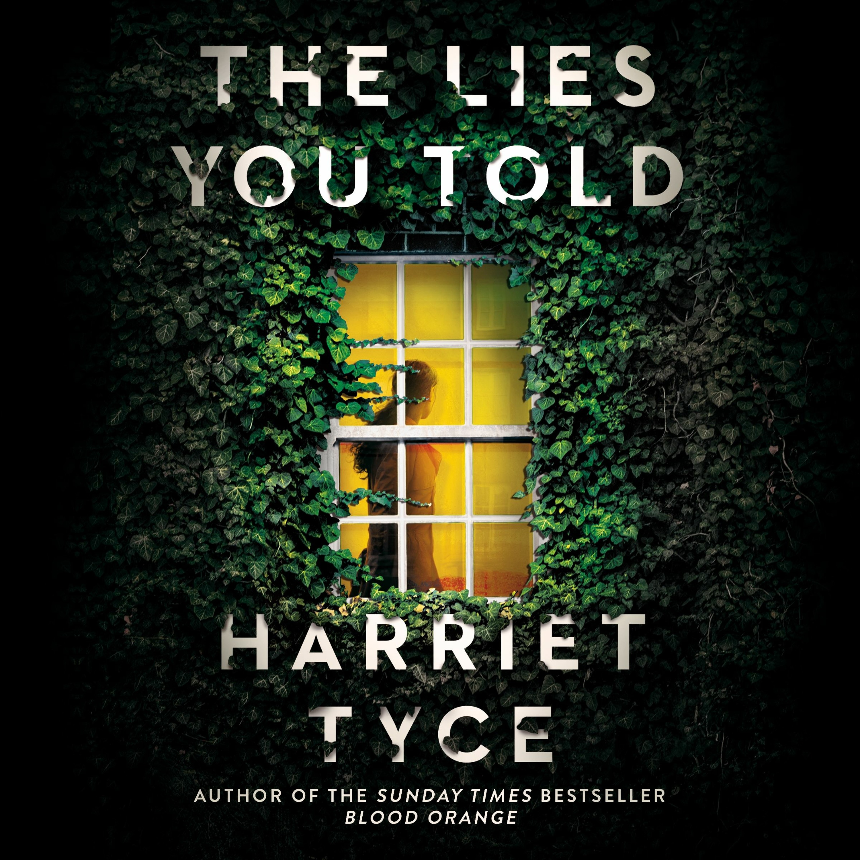 cover of episode THE LIES YOU TOLD by Harriet Tyce, read by Sarah Durham - Audiobook Sample