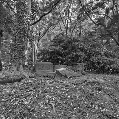 Halloween Cemetery Horror