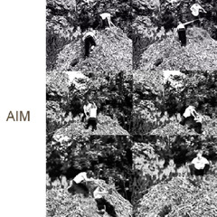 aim - ear jgr.rework