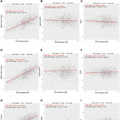 Epigenetic Aging Markers Predict Colorectal Cancer Risk in Postmenopausal Women