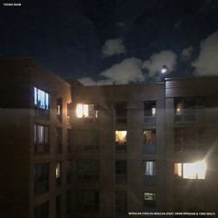 shoulda coulda woulda (feat. deem spencer & torii wolf)