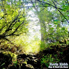 Accidental Resolve - Revin Kobb