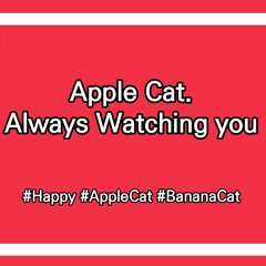 Apple Cat. Always Watching You. (NCS Song)