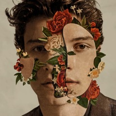 Shawn Mendes - Fallin' All In You ( pure slowed )