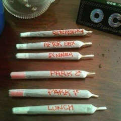 "spliffs" [prod. vogelherz]