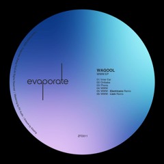 PREMIERE: Wagool - WWW (Electricano Remix) [ZFD011]
