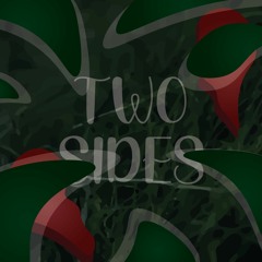 TwoSides