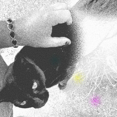 stray cats are the only things that touch me...