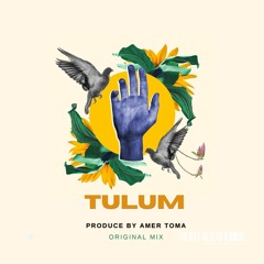 Amer Toma - TULUM  ( Original MIX )