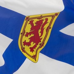 down in nova trouble