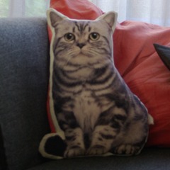 I WILL DANCE AGAIN TO THE BEATING OF MY HEART