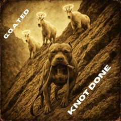 Common Folk (Average Joe)