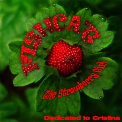 Fishcat - The Strawberry Girl(Dedicated-To-Cristina)