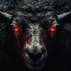 Cult Of The Sheep