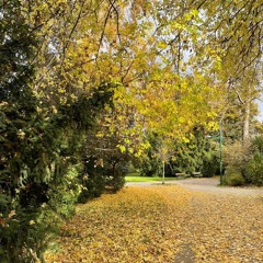 Cho “tệp khách hàng biết bay” ✈️