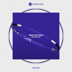 Mees Mattern - Ruff Bits EP