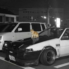 soviss - kitty phonk (Slowed & Reverb)