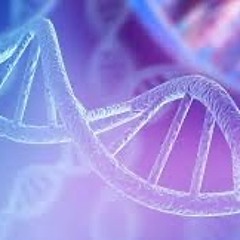 DNA prod.sebzta