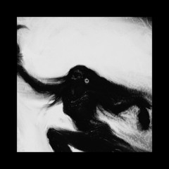 VallaK & ORCORO - Shri Rudram