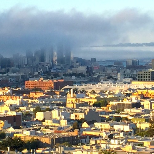 The City
