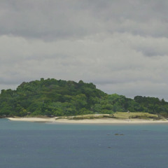 Wind scene
